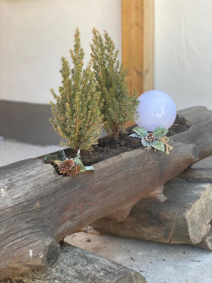 Ferienwohnung Natururlaub Muggenbrunn Todtnau Esterno foto