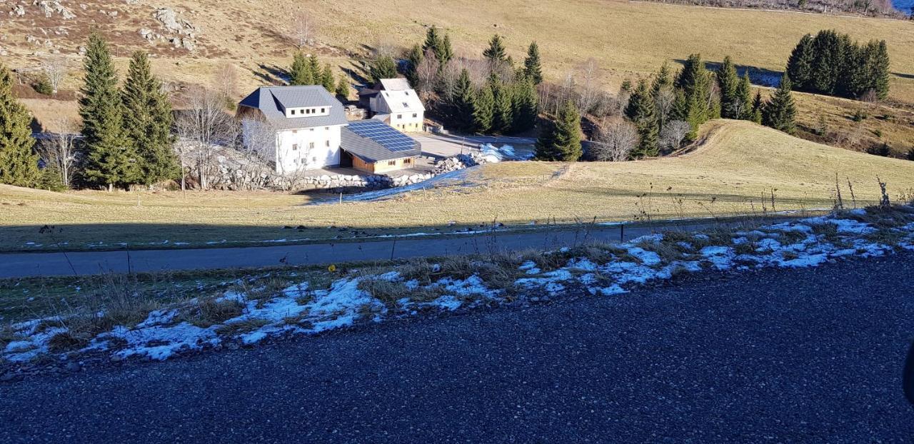Ferienwohnung Natururlaub Muggenbrunn Todtnau Esterno foto