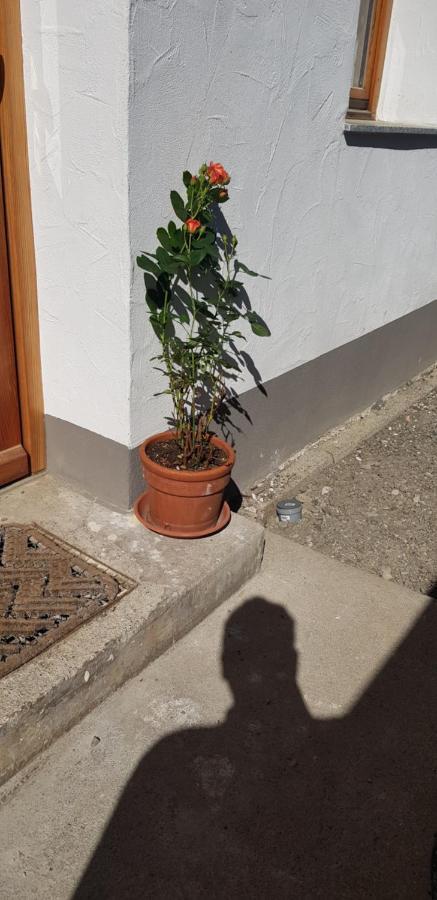Ferienwohnung Natururlaub Muggenbrunn Todtnau Esterno foto