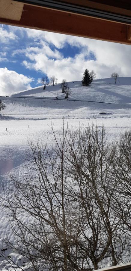 Ferienwohnung Natururlaub Muggenbrunn Todtnau Esterno foto