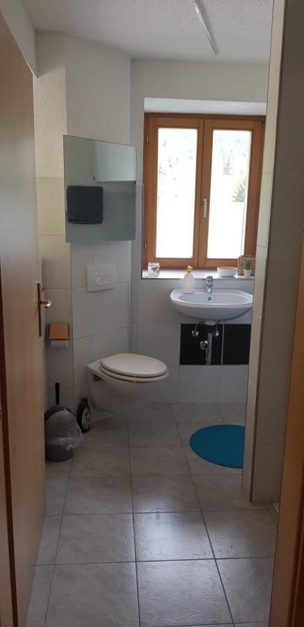 Ferienwohnung Natururlaub Muggenbrunn Todtnau Esterno foto