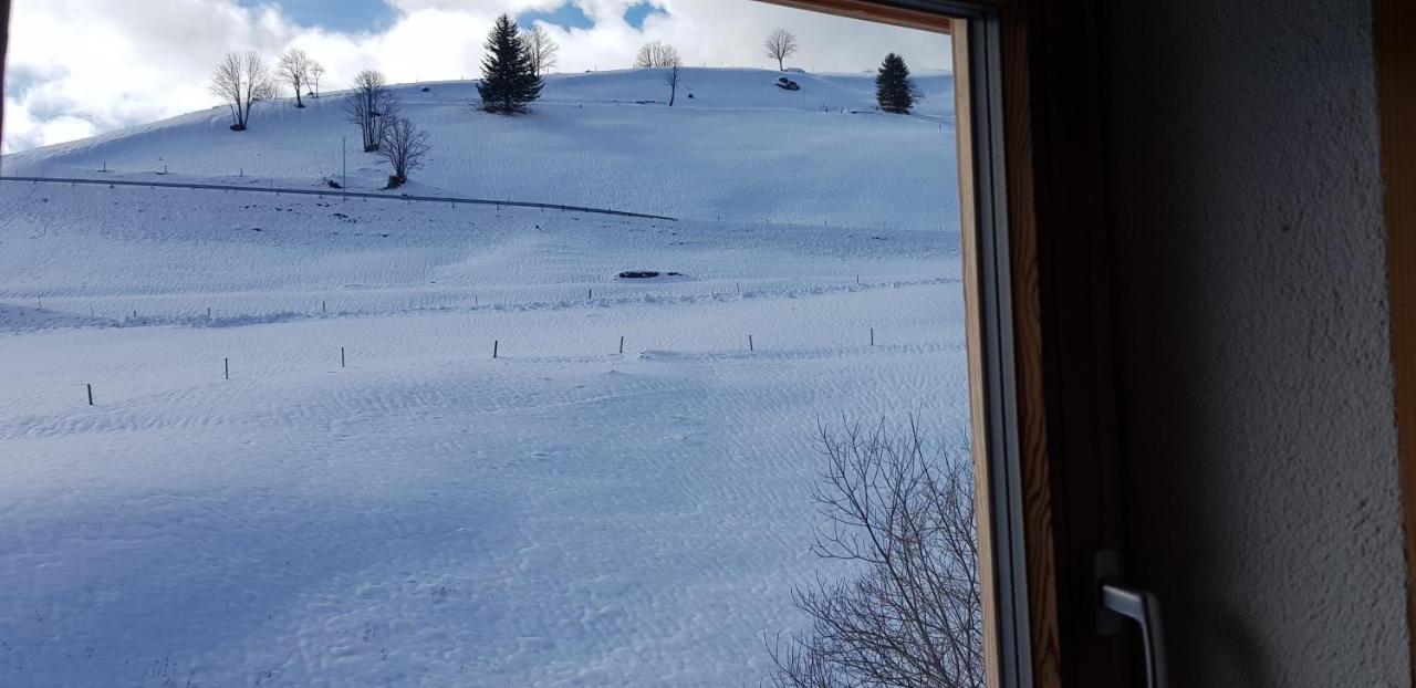 Ferienwohnung Natururlaub Muggenbrunn Todtnau Esterno foto