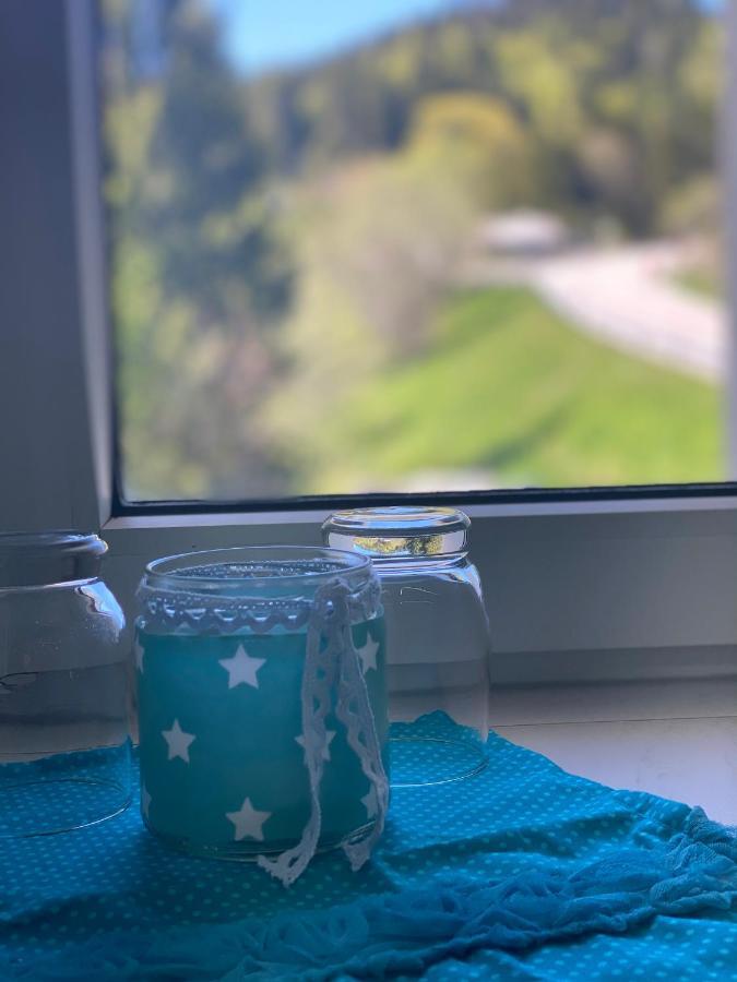 Ferienwohnung Natururlaub Muggenbrunn Todtnau Esterno foto